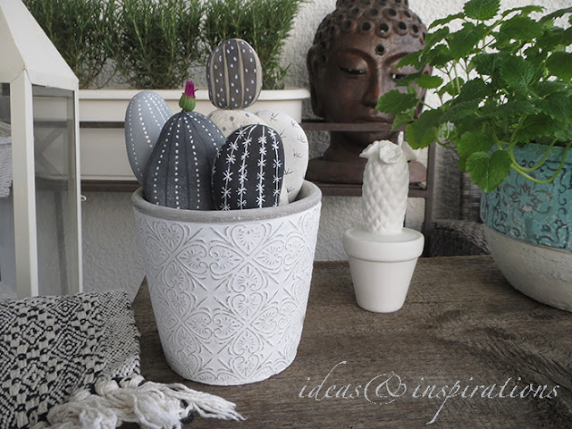 DIY Kakteen Garten * cactus garden