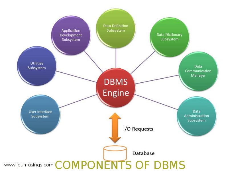 Database systems understanding acronyms dsl dml dcl and ddl