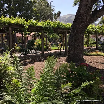 garden at Mission San Luis Obispo de Tolosa in San Luis Obispo, California