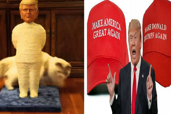 Donald Trump Dapat Donald Trump Dapat