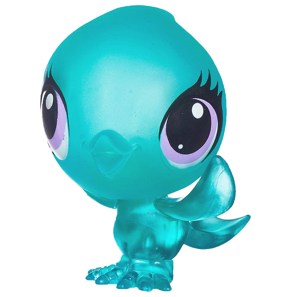 Canary pet shop Clearance