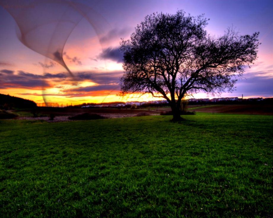 Beautiful Nature Wallpapers Download   HD Wallpapers and Pictures