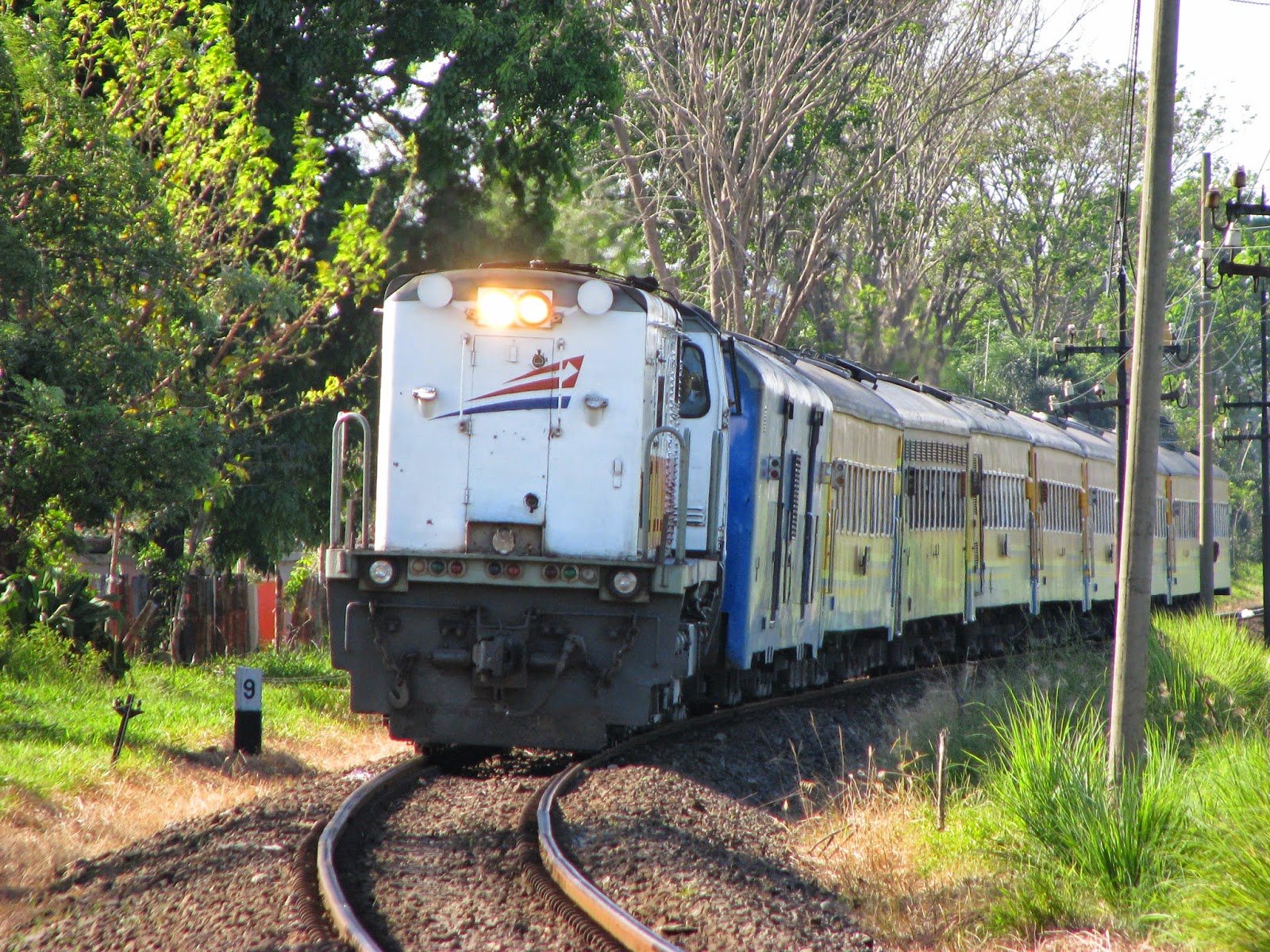 Kereta Api Indonesia: Rangkaian Kereta Sri Tanjung Berjalan Menuju Kota