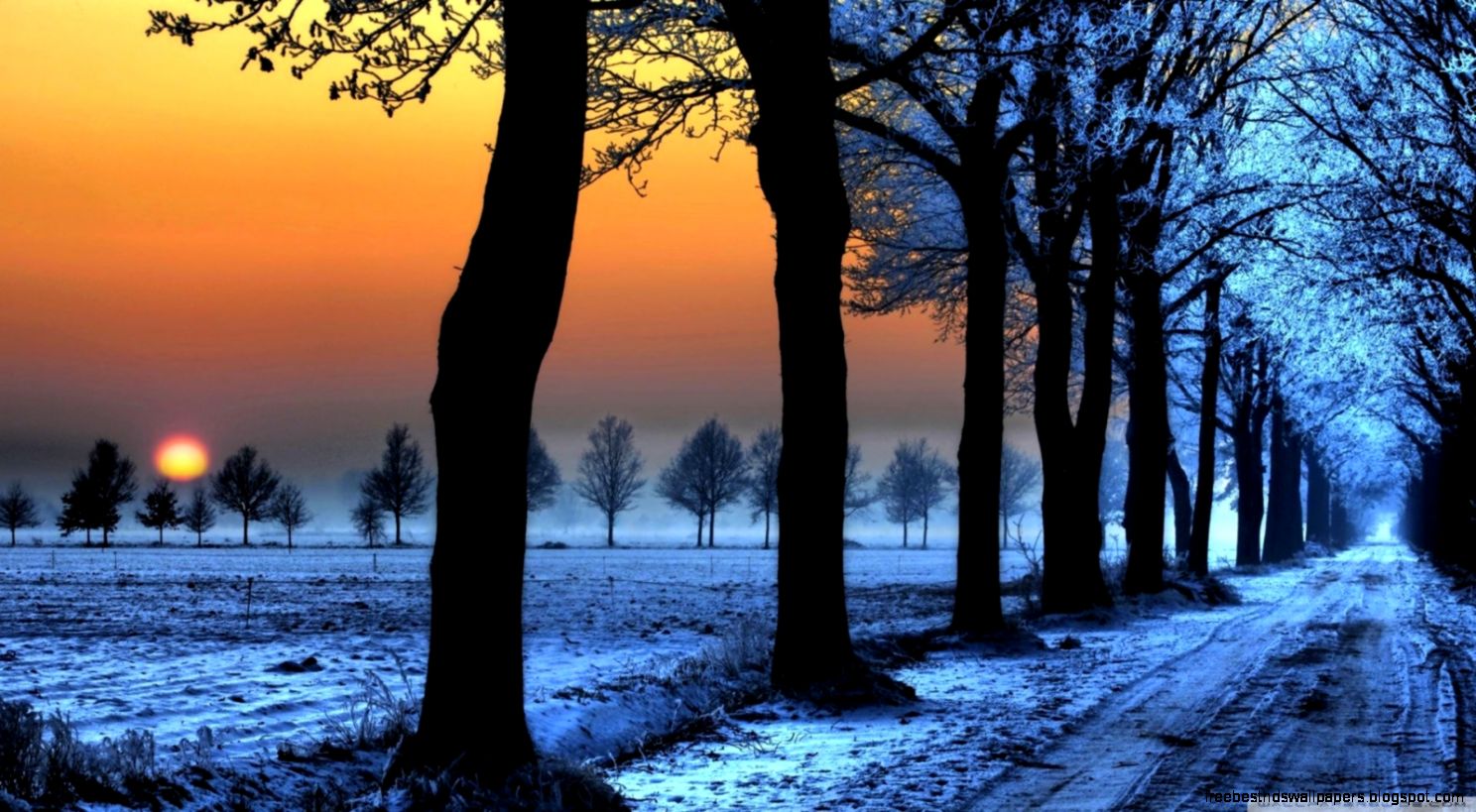 Winter Landscape With Orange Sky Wallpapers  Hd Wallpapers