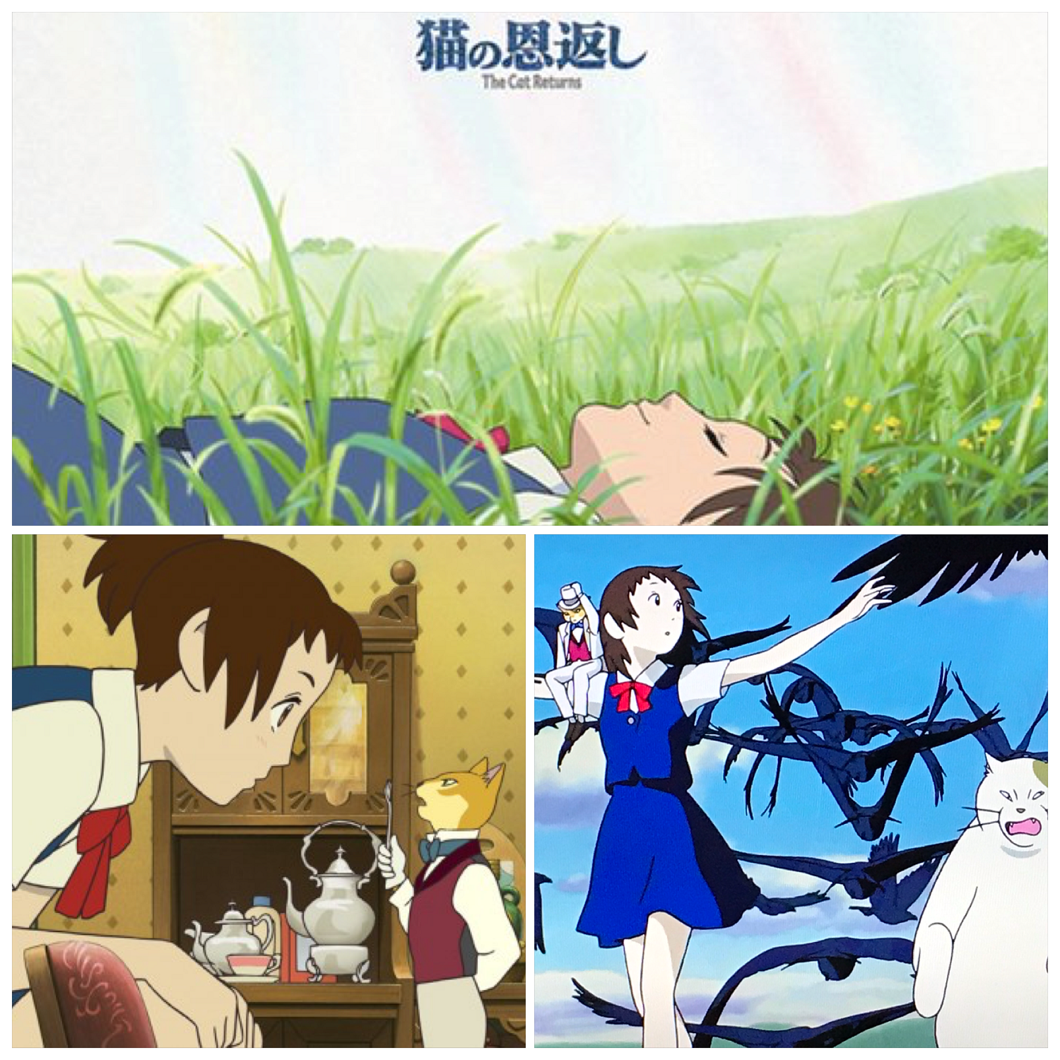 Download The Cat Returns Panduan Hidup Di Jepang For Free Get Wallpaper The Cat Returns Panduan Hidup Di Jepang Desktop Wallpaper Free