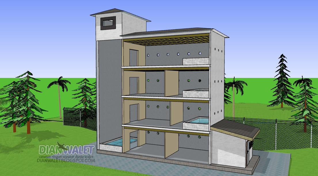 Desain Gedung Walet RBW 4X10 Lengkap Dengan Sekat Ruang 