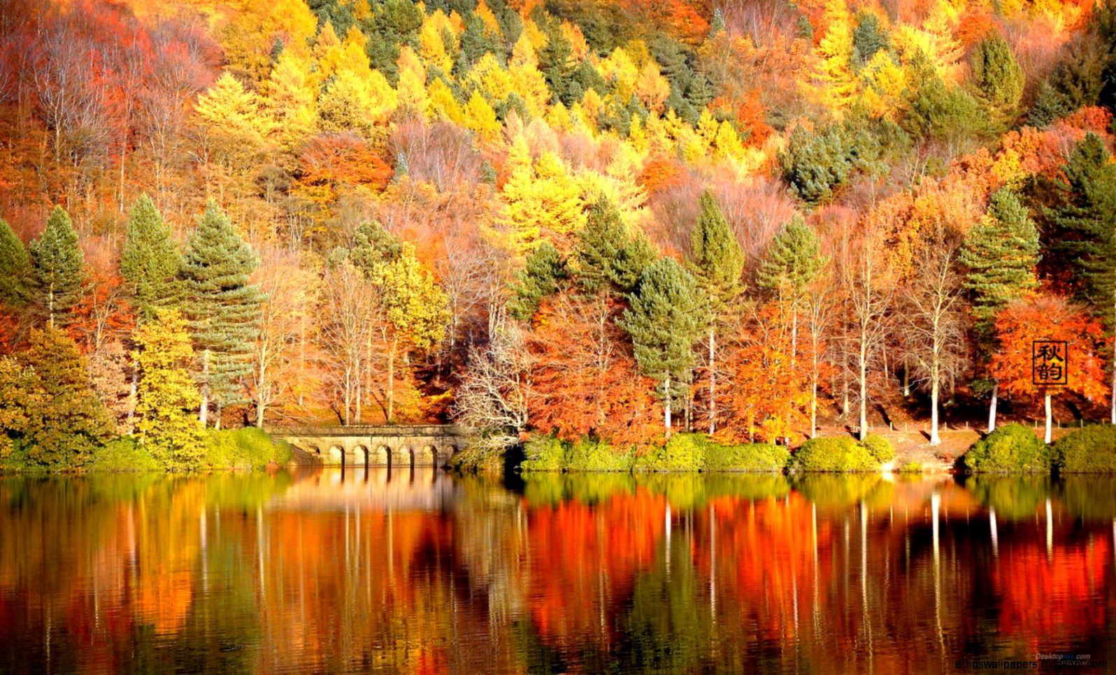 Desktop Fall Backgrounds   All Wallpapers New