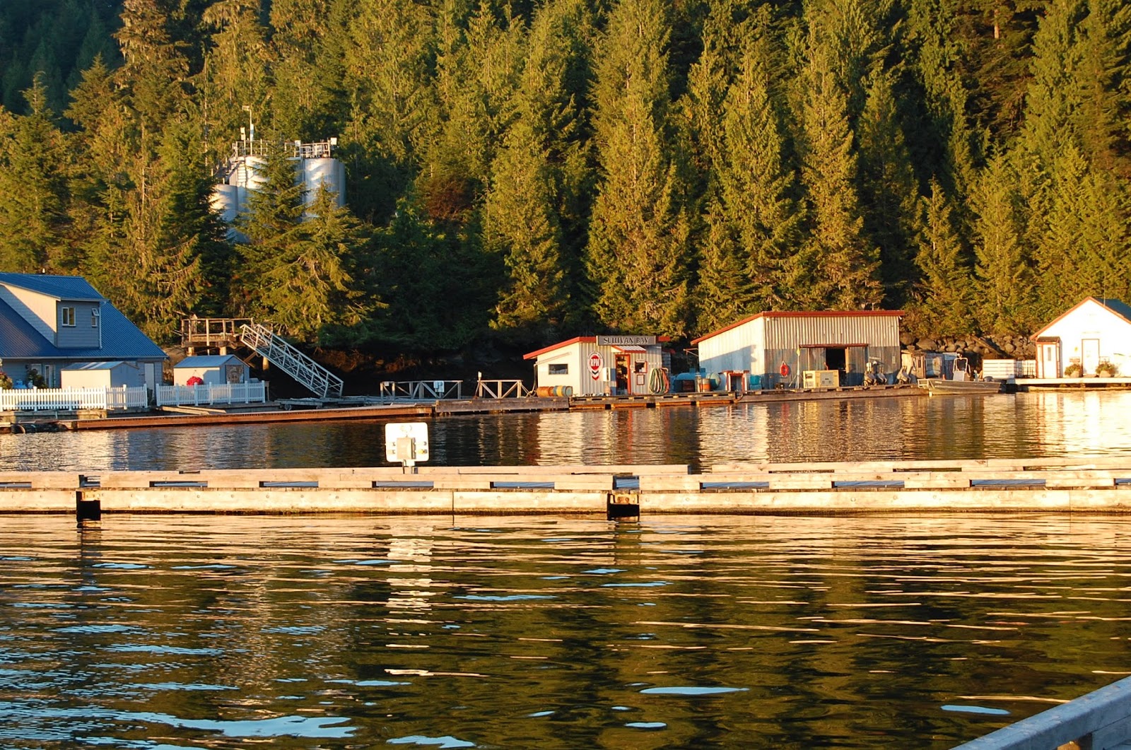 Adventure to Alaska! Sullivan Bay, North Broughton Island, The