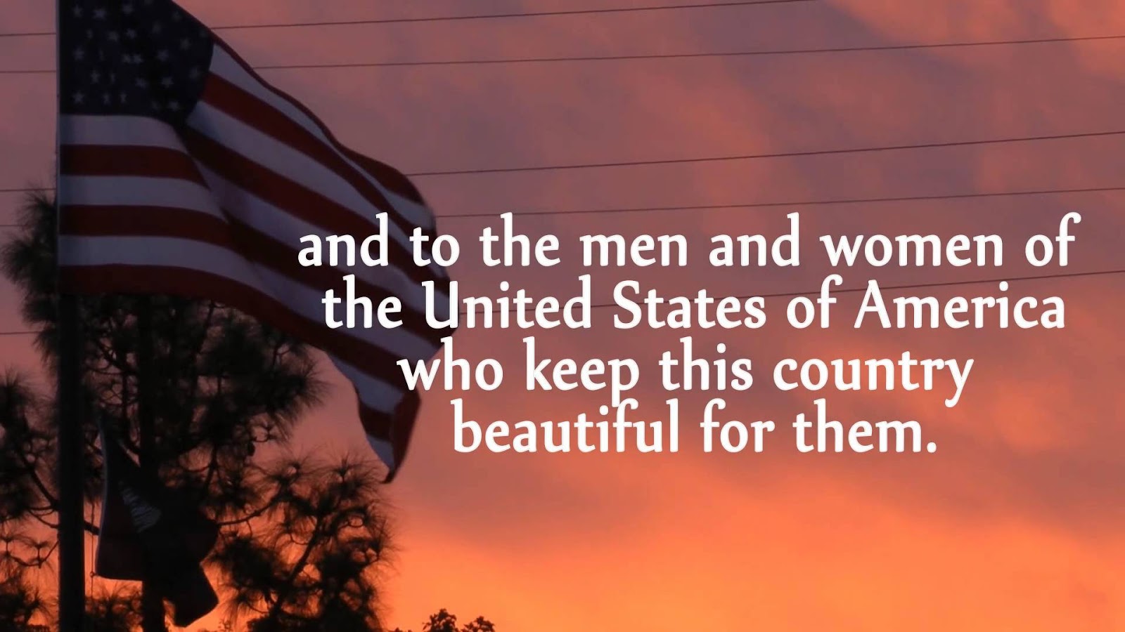 Liberal veterans day quotes