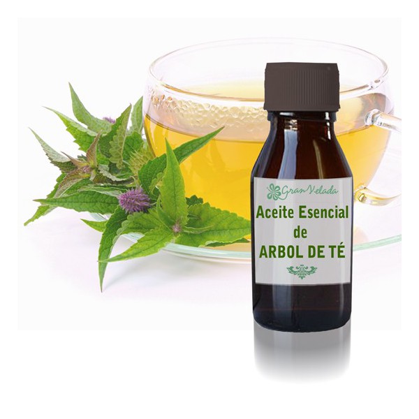Aceite de Arbol de Te Como Remedio Para La Candidiasis Candidiasis Tratamiento Natural Aceite de Arbol de Te Como Remedio Para La Candidiasis Candidiasis Tratamiento Natural