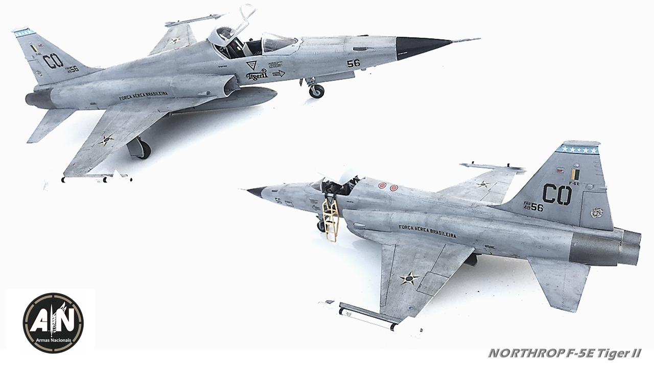 Armas Nacionais: Northrop F-5E Tiger II Agressores