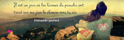 Phrase avec citation de Théophile Gautier