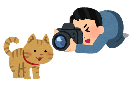 猫の写真を撮る人のイラスト