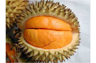 8+ Jenis dan Manfaat Buah Durian untuk Kesehatan 6