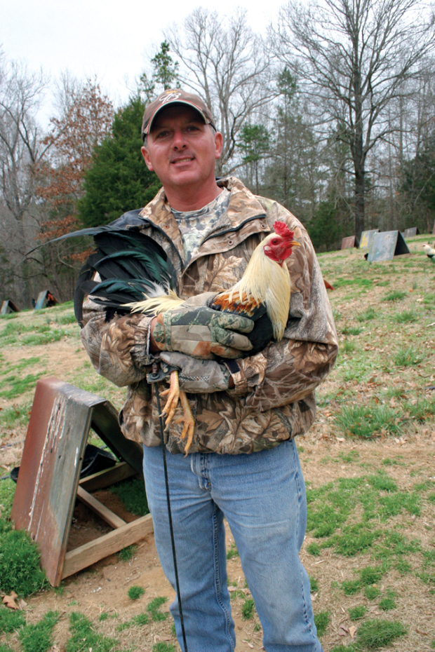 Gallos Y Galleros (NUEVO) Entrevista Gary Richardson y Kerry Robertson