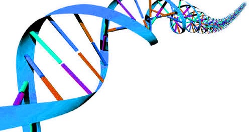 Roots & Stuff: Genome Mate Pro – A Steep Learning Curve