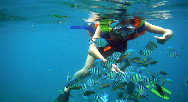 5 Tips Kegiatan Seru Menikmati Liburan di Pantai, Menyelam Bersama ikan - ikan kecil di Kepulauan Karimunjawa, Jawa tengah 5 Tips Kegiatan Seru Menikmati Liburan di Pantai, Menyelam Bersama ikan - ikan kecil di Kepulauan Karimunjawa, Jawa tengah