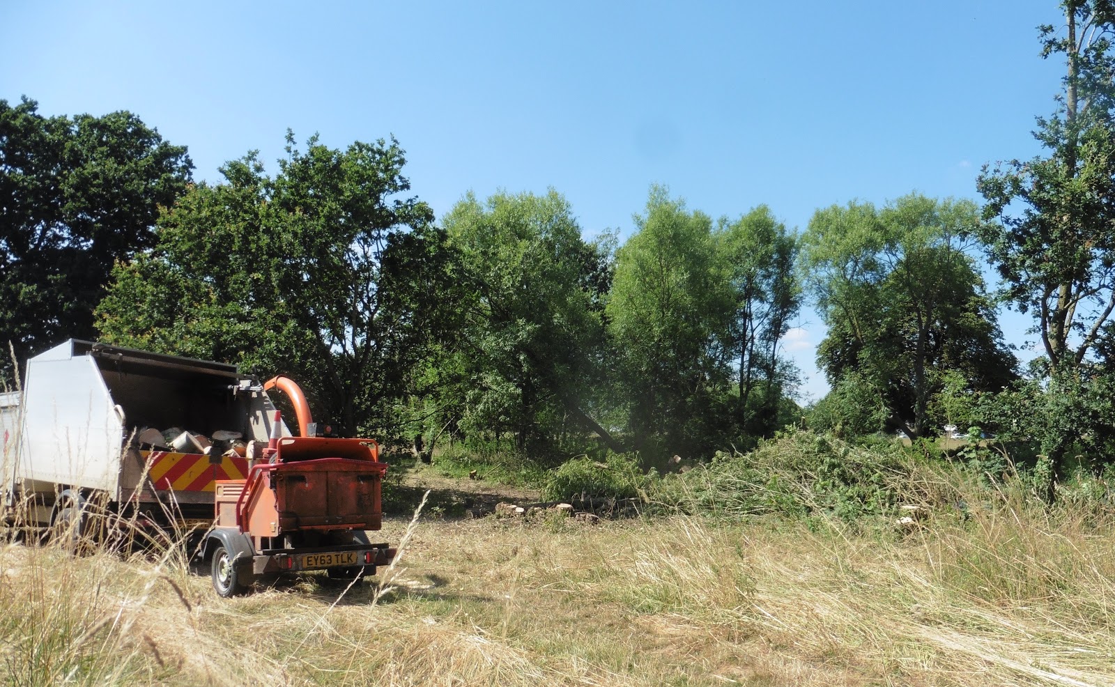 Old Buckenham blog Clearing around Old Buckenham pond