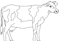 Contoh Gambar Mewarnai Sapi Kataucap