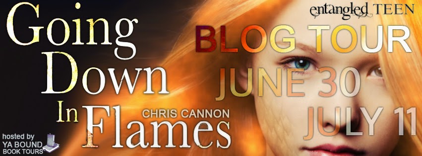http://yaboundbooktours.blogspot.com/2014/05/blog-tour-sign-up-going-down-in-flames.html