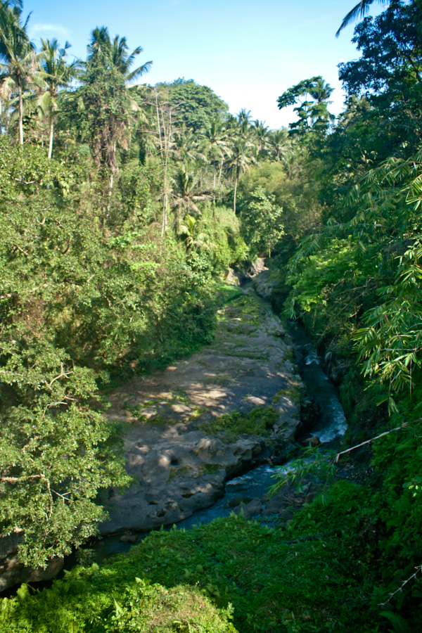 Ubud Villa For Sale