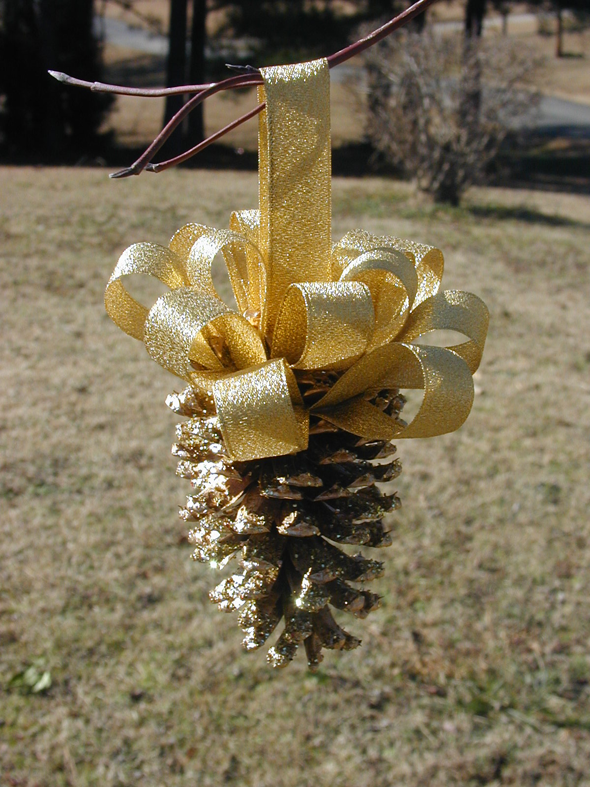 Better Budgeting Homemade Christmas Ornaments Pine Cones