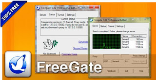 FreeGate Professional Portable