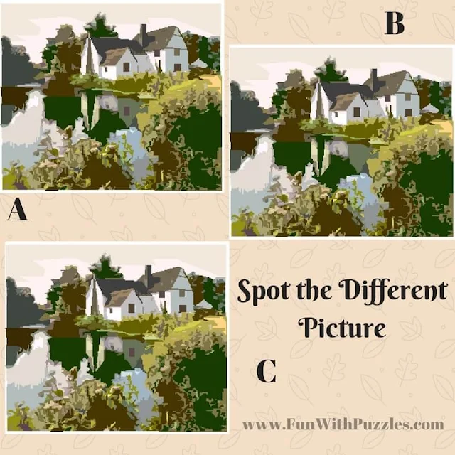 Spot The Different Picture Puzzles-Lake