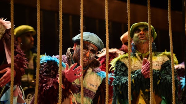 Córdoba vuelve al Carnaval de Cádiz con tres grupos y los hermanos Aranda Córdoba vuelve al Carnaval de Cádiz con tres grupos y los hermanos Aranda