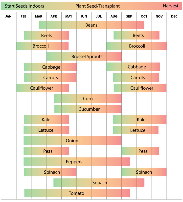 Zone 10A Planting Guide Plant Ideas