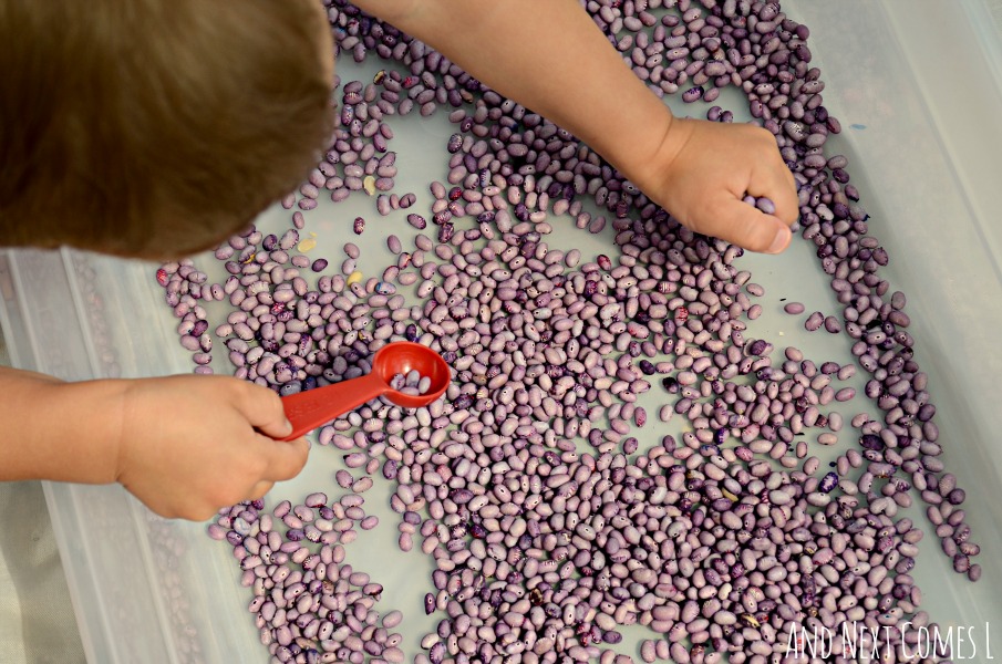 Lavender Scented Beans Sensory Bin And Next Comes L Hyperlexia