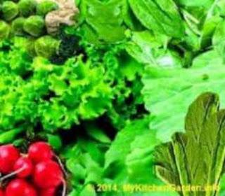 Dark green vegetables like broccoli, cabbage, cauliflower, radish greens, turnip, Brussels sprouts, watercress