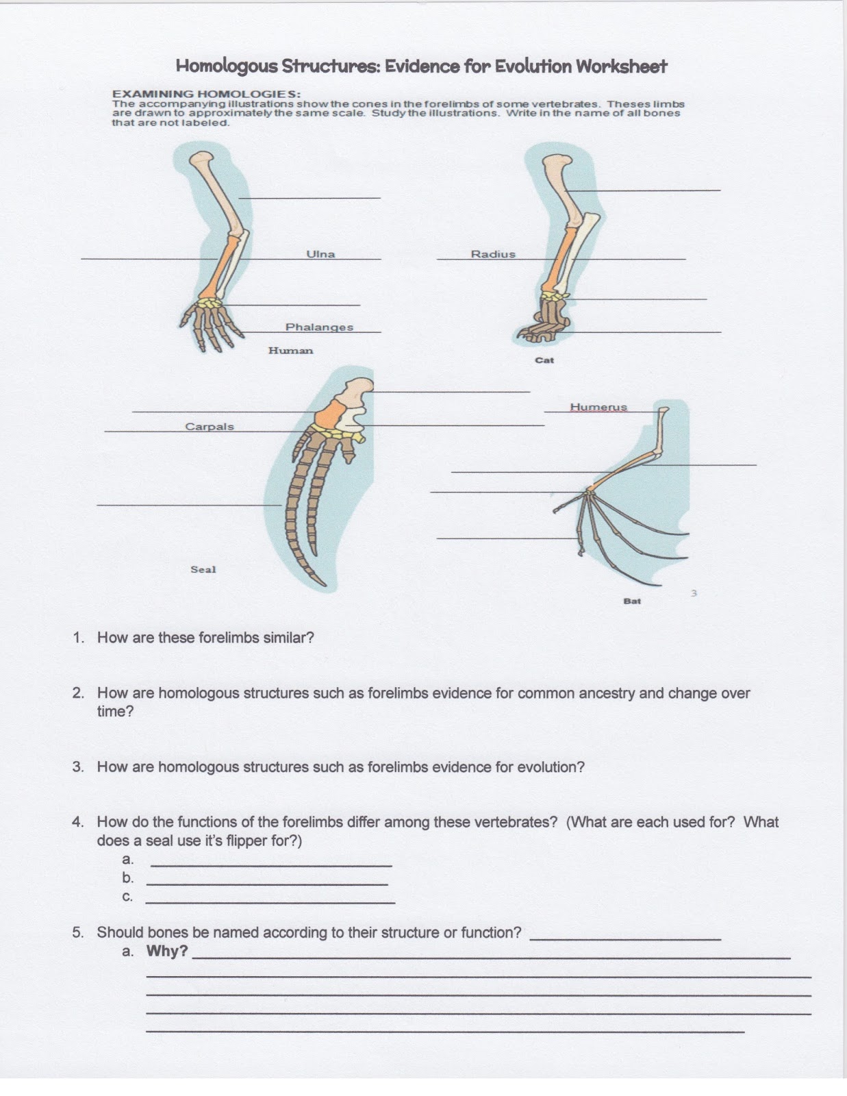 Dr Gayden S Biology Class November 2017