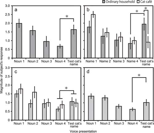 Retired Now What Do Cats Know Their Name
