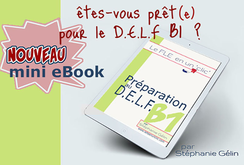 mini ebook préparation DELF niveau B1, Le FLE en un clic, DELF B1