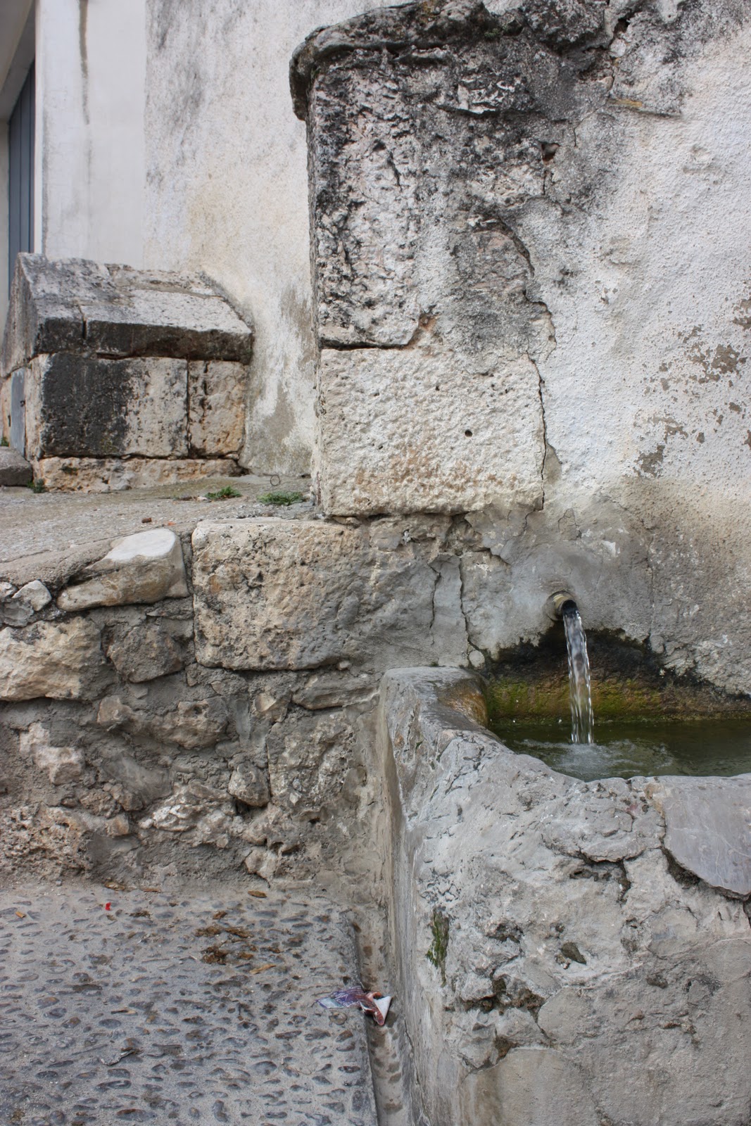 entornos / Alcarria, fuentes, flora y fauna fuente 