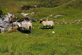 Día 7: Eilean Donan- Portree. 15 de julio de 2015 - Escocia en 11 dias (1)