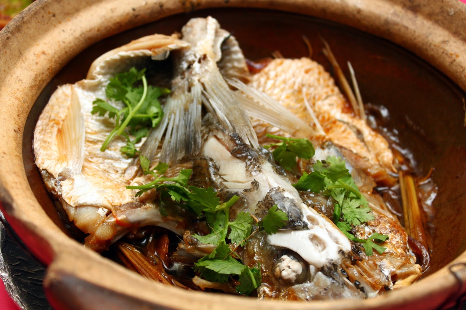 Restoran Ocean Seafood Kota Kemuning, Shah Alam f i n d i n g // f