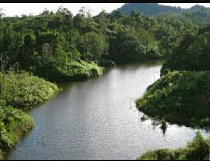 Siska's Jurnal IPS SD MI Kelas 3 Lingkungan Alama dan Buatan