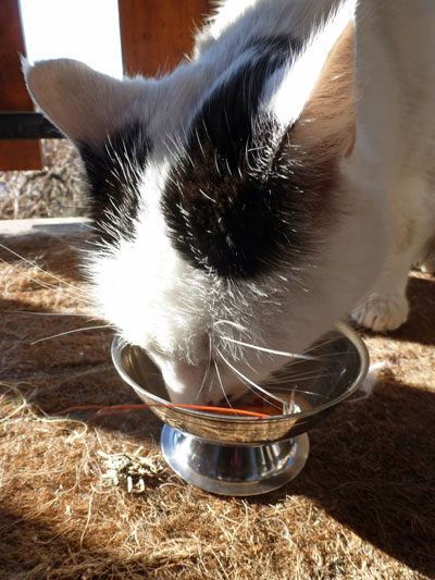 La Toile à Nolwenn: Noël La Toile à Nolwenn: Noël