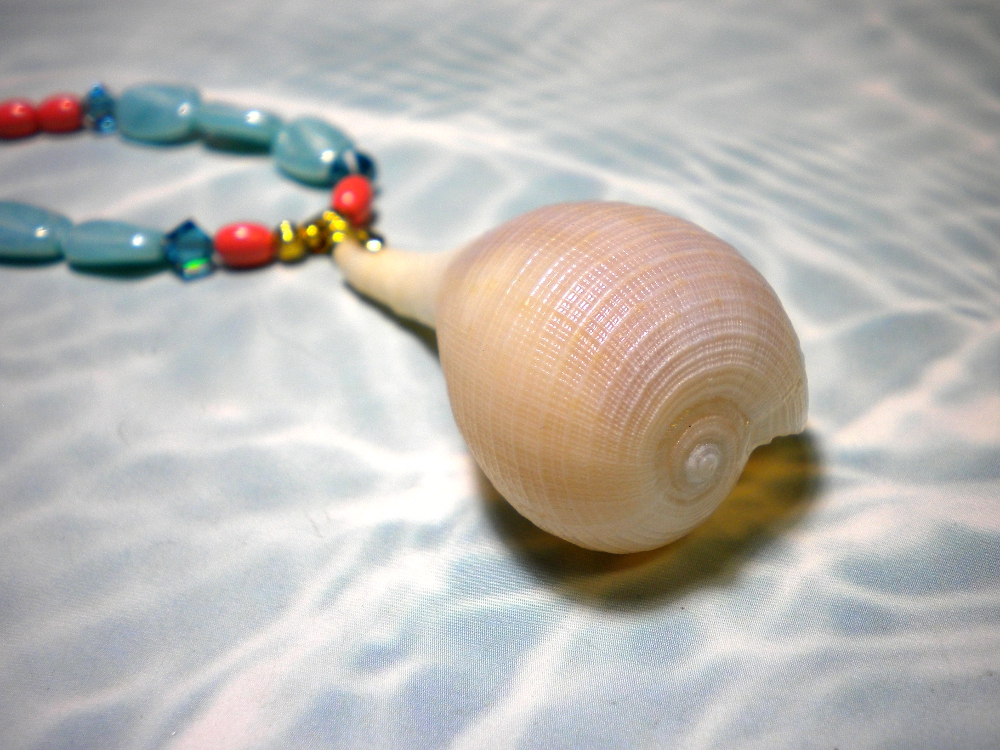 Del's Shells Oh Sanibel!