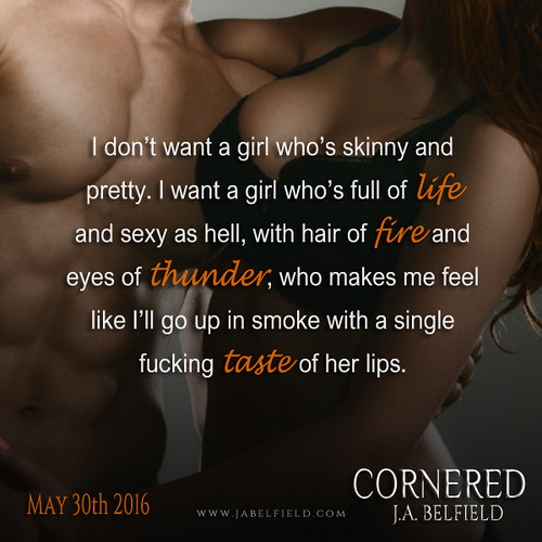 Teaser Picture Cornered 1