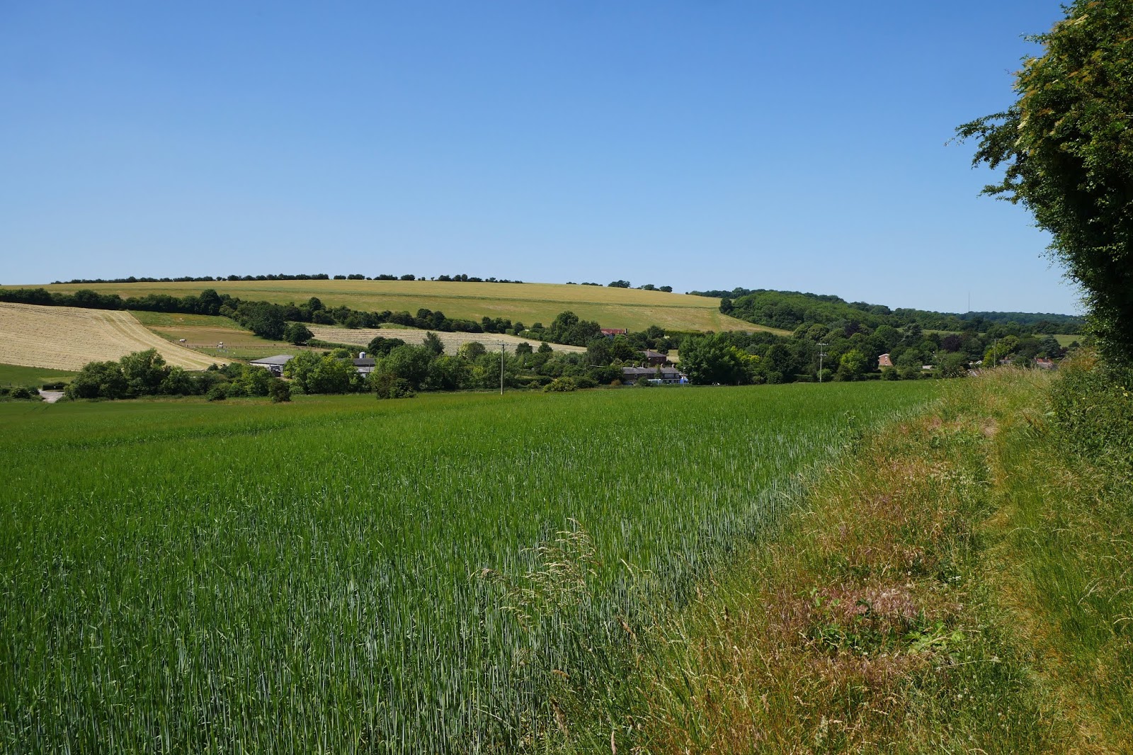 Walking in the country Lambourn to Welford (Lambourn Valley Way 2)
