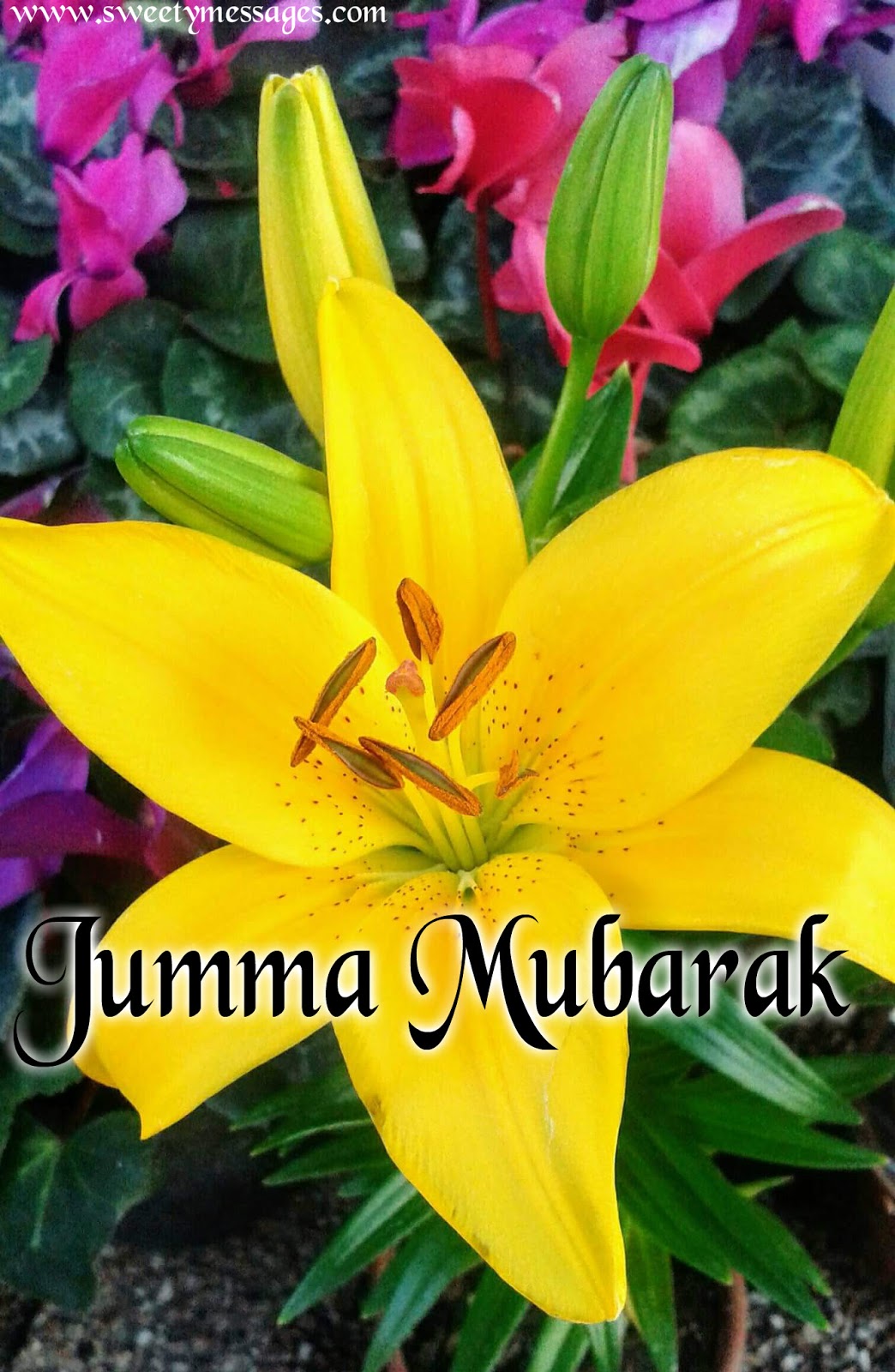 JUMMA MUBARAK IMAGES - Beautiful Messages