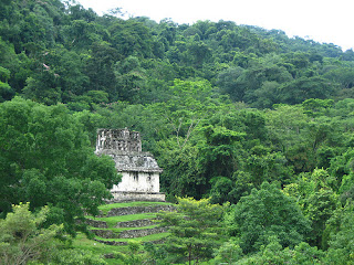 Pirámides Selva Palenque