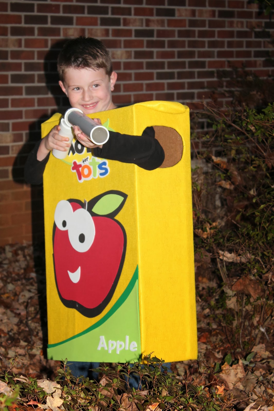 The Harris Sisters DIY Juice Box Halloween Costume