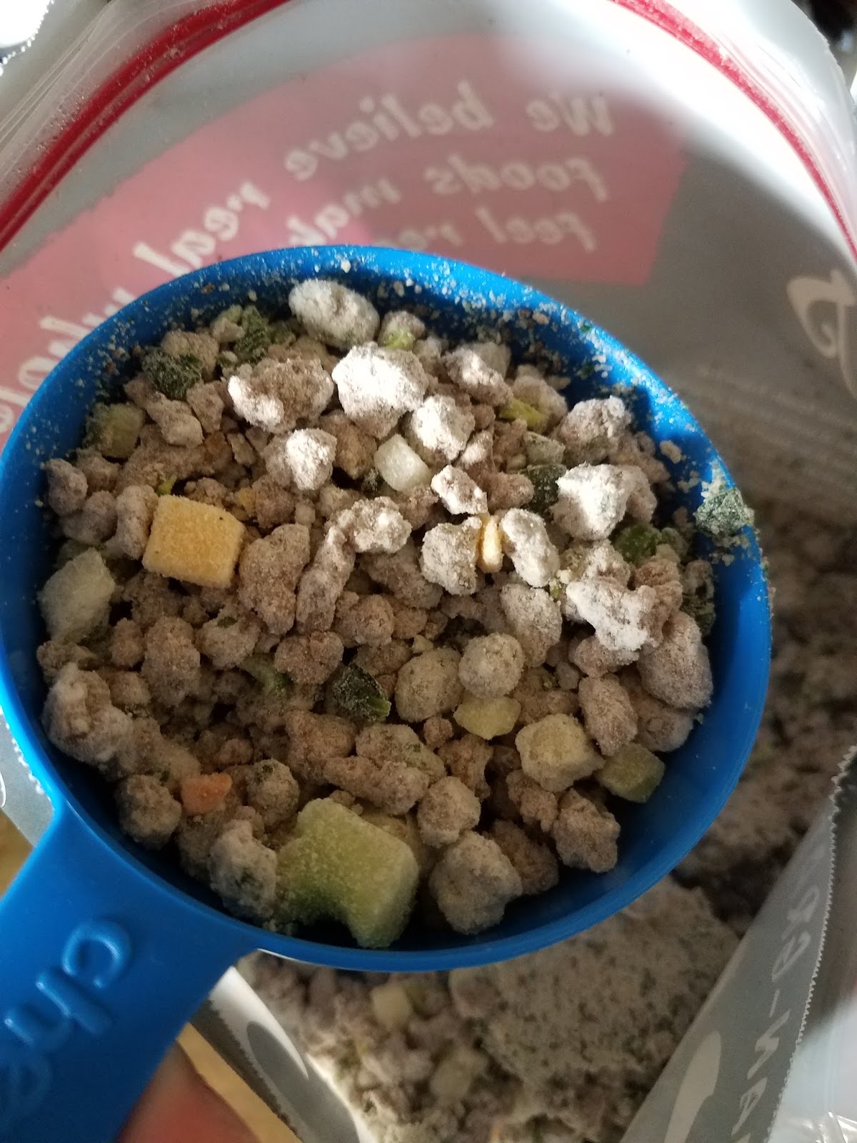 The ABCD Diaries Challenge Tylee's Beef Recipe Human Grade