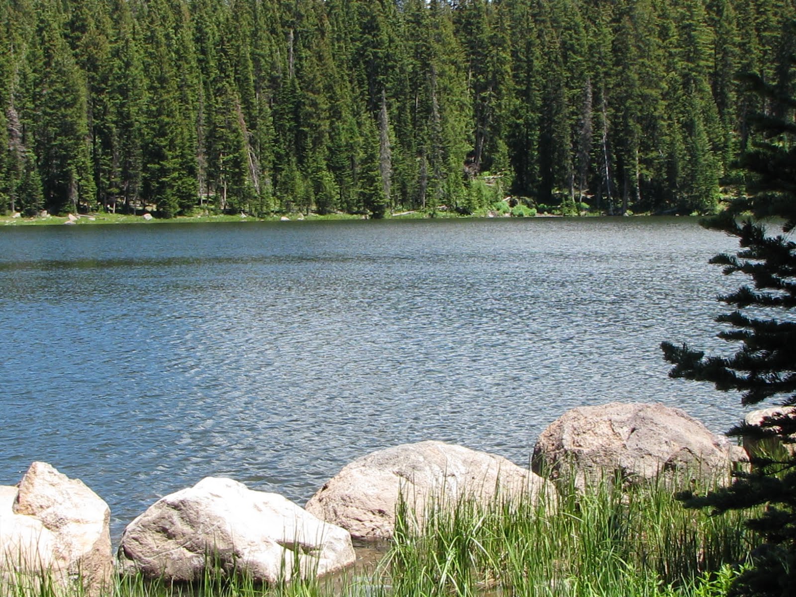 Lake of the Woods