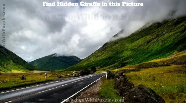 Picture Puzzle to find hidden Giraffe