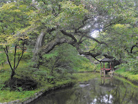 giardino segreto del changdeokgung seoul